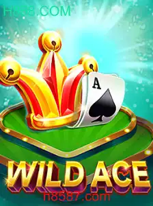 Desvendando WildAce: Um Mergulho nas Regras e Atrações do Jogo